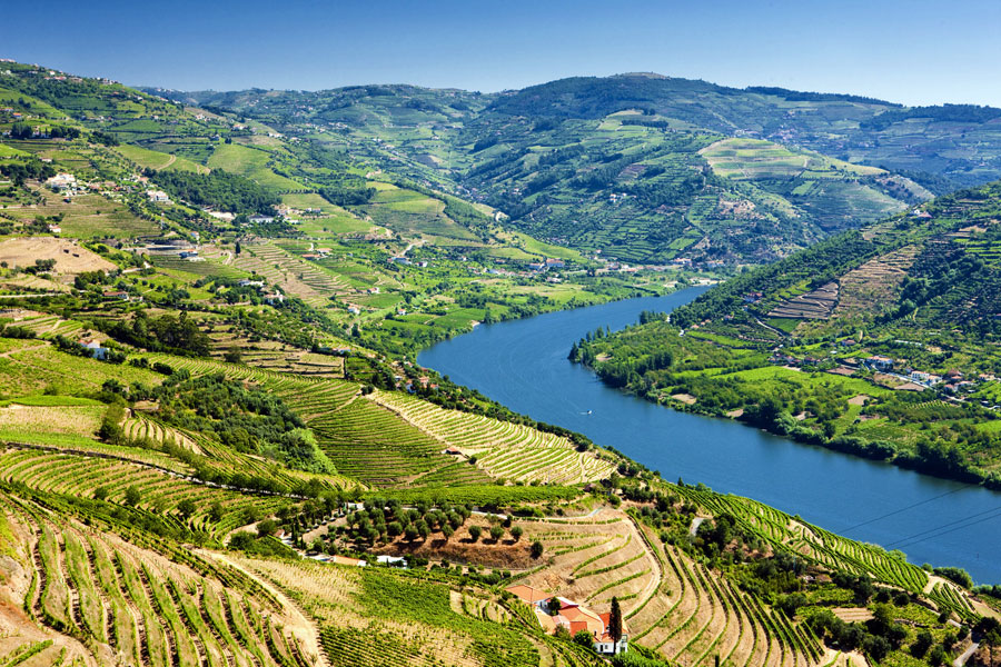 Douro Region of Portugal, famous for its wines incl. Port wine