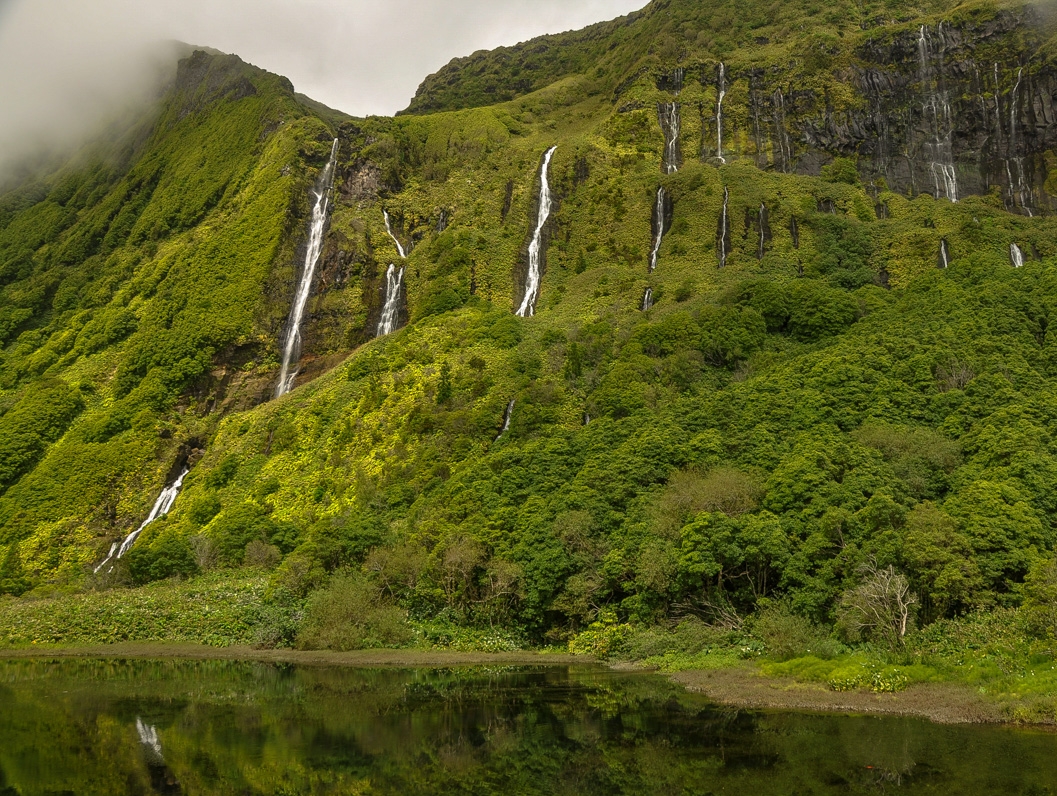 The Jurrassic park like Flores Island, part of the Azores, Portugal, Photo by Sola Gasta