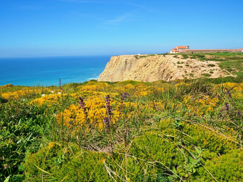Cape Espichel brings such a beautiful scenery with flowers blooming.