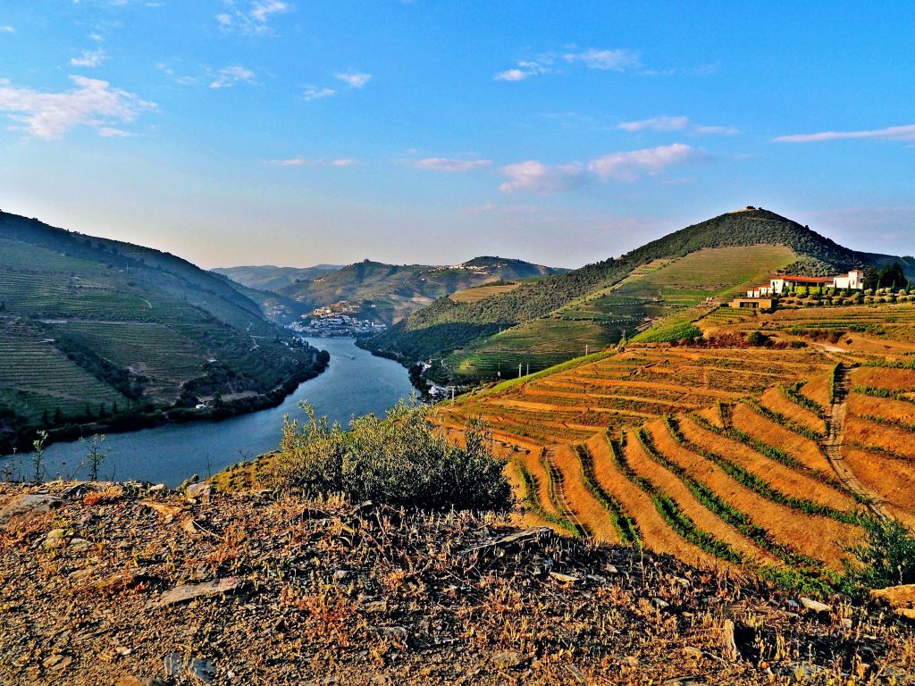 A beautiful view of Douro River