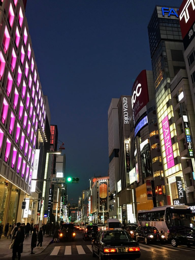 Busy Street in Ginza